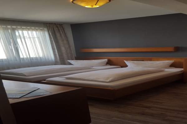 Hotel Alt Steinbach
